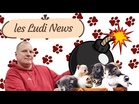 Arcs, Dice Realms, 13 Leaves, No Loose Ends,Star Wars Unlimited Chapitre 5, Les Ludi News !