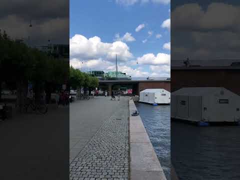 Copenhageninsummer(2024)