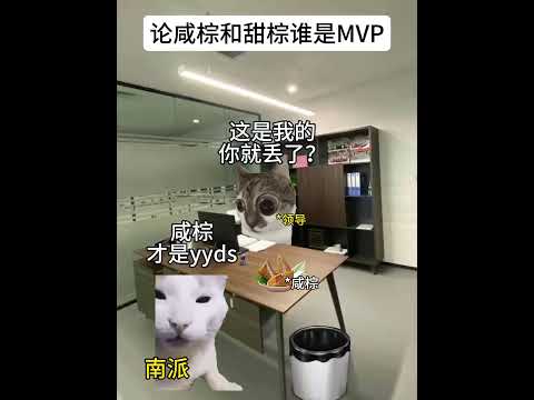 猫の動画サムネイル - 那个粽子才是MVP？#有趣 #猫meme #猫meme剧场 #内容过于真实  #故事 #貓 #猫猫meme小剧场 #喵不可言