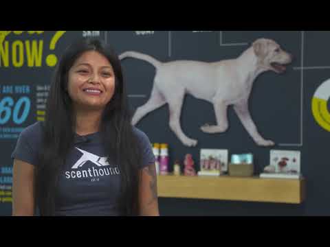 Scenthound Employee Testimonial
