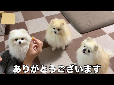 本当にありがとうございました