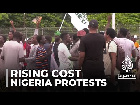 Protests in Nigeria: Young Entrepreneur Speaks Out Against Rising Costs