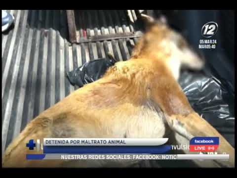 Mujer detenida por maltrato animal
