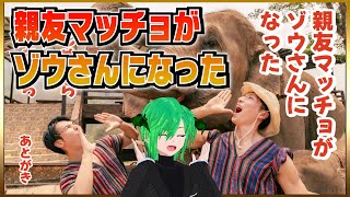 【親友マッチョがゾウさんになった】ゾウさんの鼻って、ほぼ筋肉なんだぜ。筋肉始めました！ Vtuber【ふりーむ、フリーゲーム、Freem】