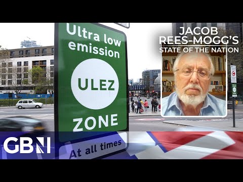 'Let's have a ULEZ referendum!' | Climate campaigner defends lower emissions charge expansion