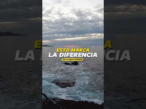 Cambié de sitio y en el primer lance… ¡BOOM! Lubina al instante 💥 #pesca