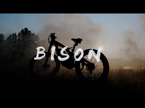 Unleash the real wild like a Bison ——ECOTRIC Bison ebike