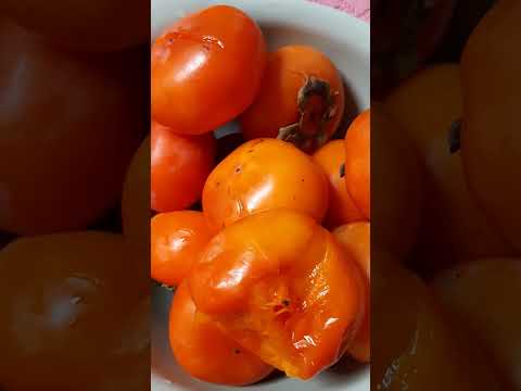★아주 달고 맛있는 단감(단감의 효능) #과일 #Fruits #감 #단감 #단감의 효능 #비타민 #폐렴 #천식 #피로회복