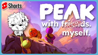 [PEAK] okay... NOW we climb the mountain! ⛰️