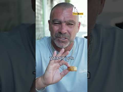 סדרת הכתבות החדשה "פיתה בלילי" יוצאת לדרך - הפעם בפלאפל 4 טעמים, אז מה פיני חשב על המנה?