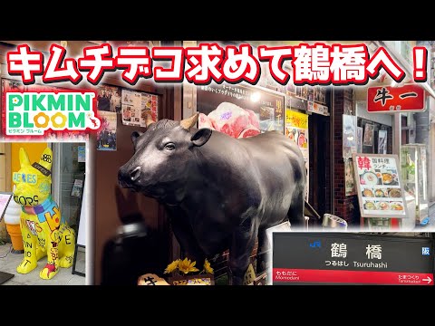 【ピクミンブルーム】キムチデコ求めて鶴橋へ！【Pikmin Bloom】
