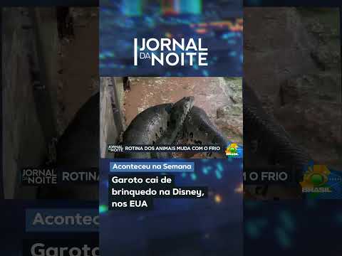 Garoto cai de brinquedo na Disney, nos EUA | Jornal da Noite | Aconteceu na Semana #