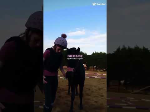 #horse #equestrianjourney #equestrianriding #horsebackriding #riding #horseriding #horsegirl