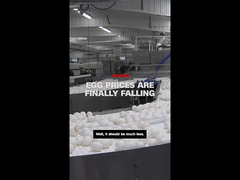 Egg prices are finally falling