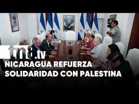 Gobierno de Nicaragua demanda fin de la violencia en Palestina