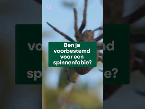 Ook bang voor spinnen of slangen? 🕷️🐍