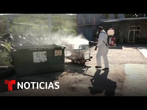 Declaran emergencia de salud pública en Puerto Rico por brote de dengue | Noticias Telemundo