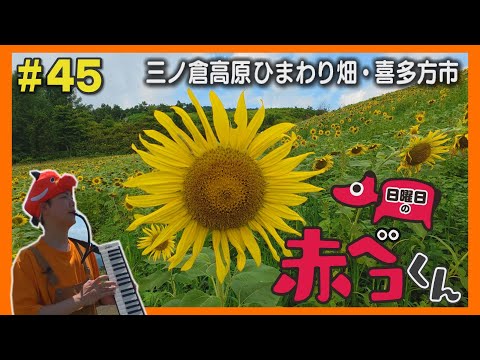 三ノ倉高原ひまわり畑「日曜日の赤ベコくん」＃45