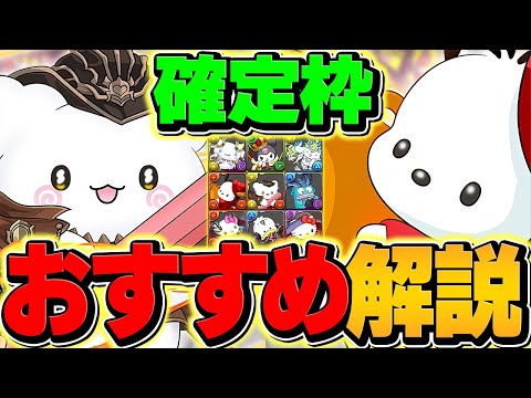 ポチャッコって今更本当に必要？サンリオコラボ確定枠オススメキャラ解説！【パズドラ】
