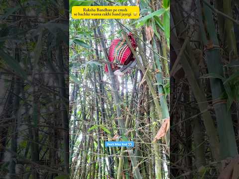 Crush Mujhe Apna Bhai Banane Nikli Hai 😂🫠 #rakshabandhan #crush #funnyshorts #relatableshorts