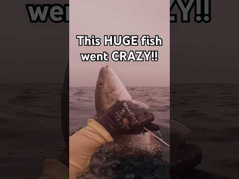 This fish was delicious! Full video is in the link below! video thumbnail