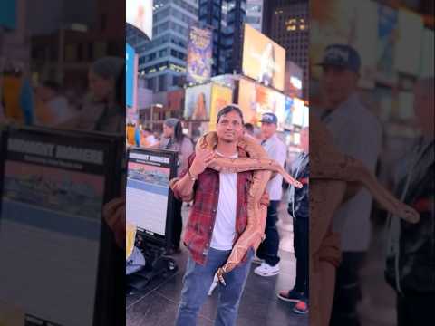 Newyork trip shorts 😍