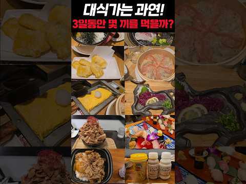 일본 음식에 미쳐버린 남자! 과연 3일 동안 총 몇끼를 먹었을까..? #mukbang #먹방 #유노 #일본