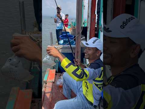 Similar B2 sprites 😂#shortvideo #trending #reels #viralvideo #cooking #food #video #funny