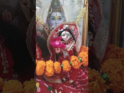 Radhakrishan video ❤️❤️🙏#radha #laddu #radhakrishna #love #krishna #shortsfeed #barsana #shyam #yt