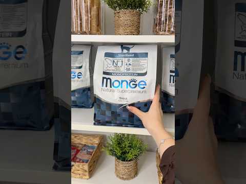 ЗАПОЛНЯЮ ШКАФ 🐶🪴