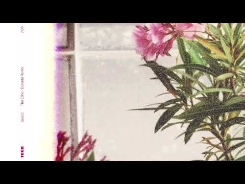 TEED - The Echo (Durante Remix)