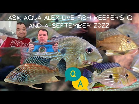 Ask Aqua Alex LIVE_ Fish Q and A September 2022 Have tropical fish keeping questions you want answered? Post them in the comments and Aqua Alex will