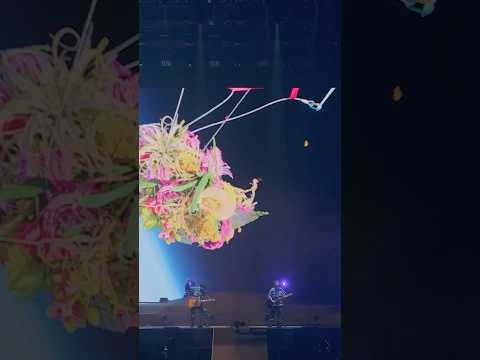 ゆず - 図鑑 from LIVE FILMS 図鑑 #shorts