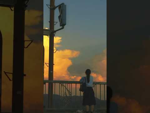 1991 - 米津玄師(Covered by 春茶)