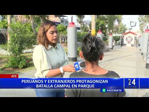 Batalla campal en Ate: peruanos y extranjeros se enfrentan a pedradas en parque