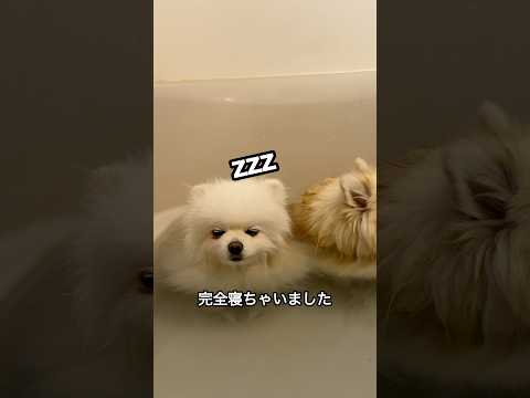 溺れてしまいますよ〜