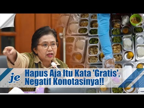 Fraksi NasDem Tentang MBG: Hapus Aja Itu Kata 'Gratis'!! Konotasinya Negatif!!