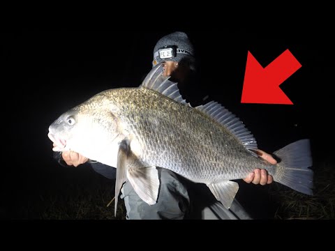 How to catch giant black drum in new jersey- targeting techniques that work video thumbnail