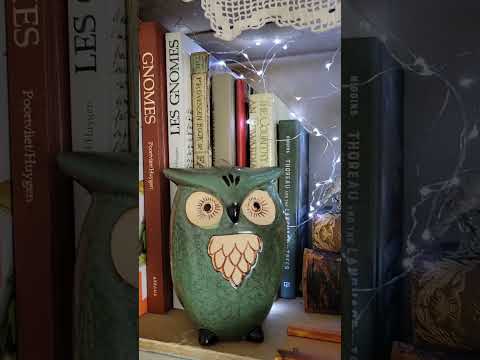 Book Love | My Happy Place