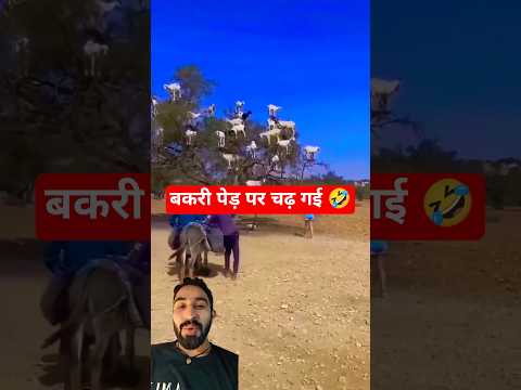 A blind puppy finds hope in the eyes of a little duck 🐶🦆❤️#duckrescue #CuteAnimals #AnimalRescue 329