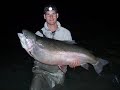 Worlds largest fish!!!