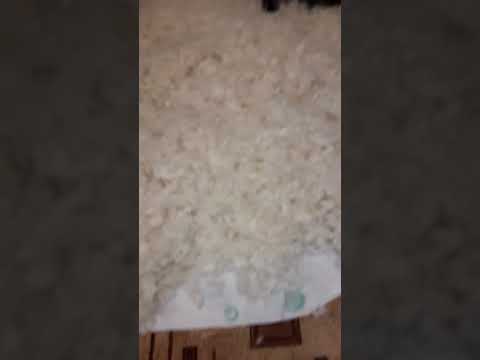 4 марта 2023 г.