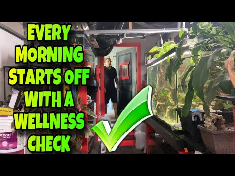 EVERY MORNING STARTS OFF WITH A WELLNESS CHECK EVERY MORNING STARTS OFF WITH A WELLNESS CHECK

What’s up YouTube fam! We have another video for y
