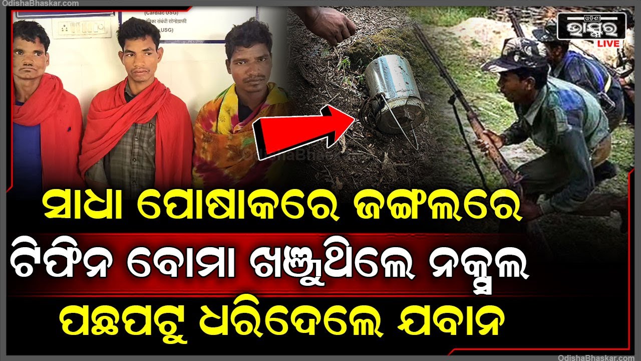 ସାଧା ପୋଷାକ ପିନ୍ଧି ଲୁଚି ଲୁଚି ଜଙ୍ଗଲରେ ଖଞ୍ଜୁଥିଲେ ଟିଫିନ୍ ବୋମା, ପଛପଟୁ ଥରୁ ପକାଇଲେ ଯବାନ୍, ତାପରେ...
