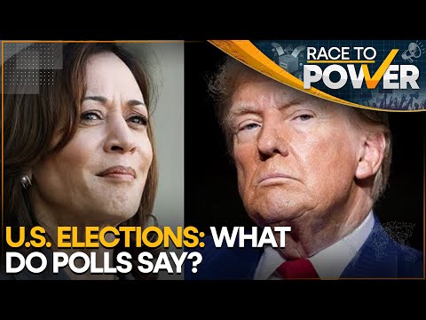 USA Elections 2024: What Do The Latest Popularity Polls Say? | Race To Power | World News | WION