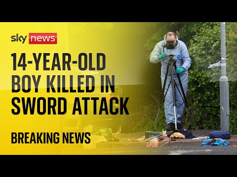Watch live: Met Police deliver statement after man with sword 'attacks people and police officers'