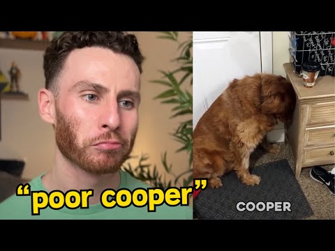 Extreme Dog Fails That Left Me Speechless! | Dog Trainer Reacts