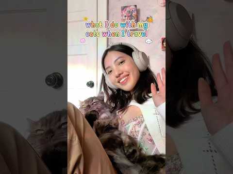 What I do with my cats when I travel #cats #catcare #cattips #catowner #rover #siberiancat #travel