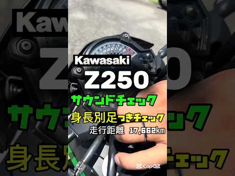 中古バイク紹介✨【Z250 /カワサキ】160cm＆175cm足つきﾁｪｯｸ&ｻｳﾝﾄﾞﾁｪｯｸ! 走行距離 17,662km　#バイク #shorts #mfd神戸店