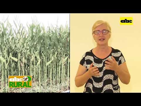 ABC Rural: Programa de agricultura sustentable del Inbio